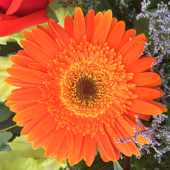 Meet your Posher - Picture 1 of 1